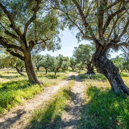 Holiday home Irida *